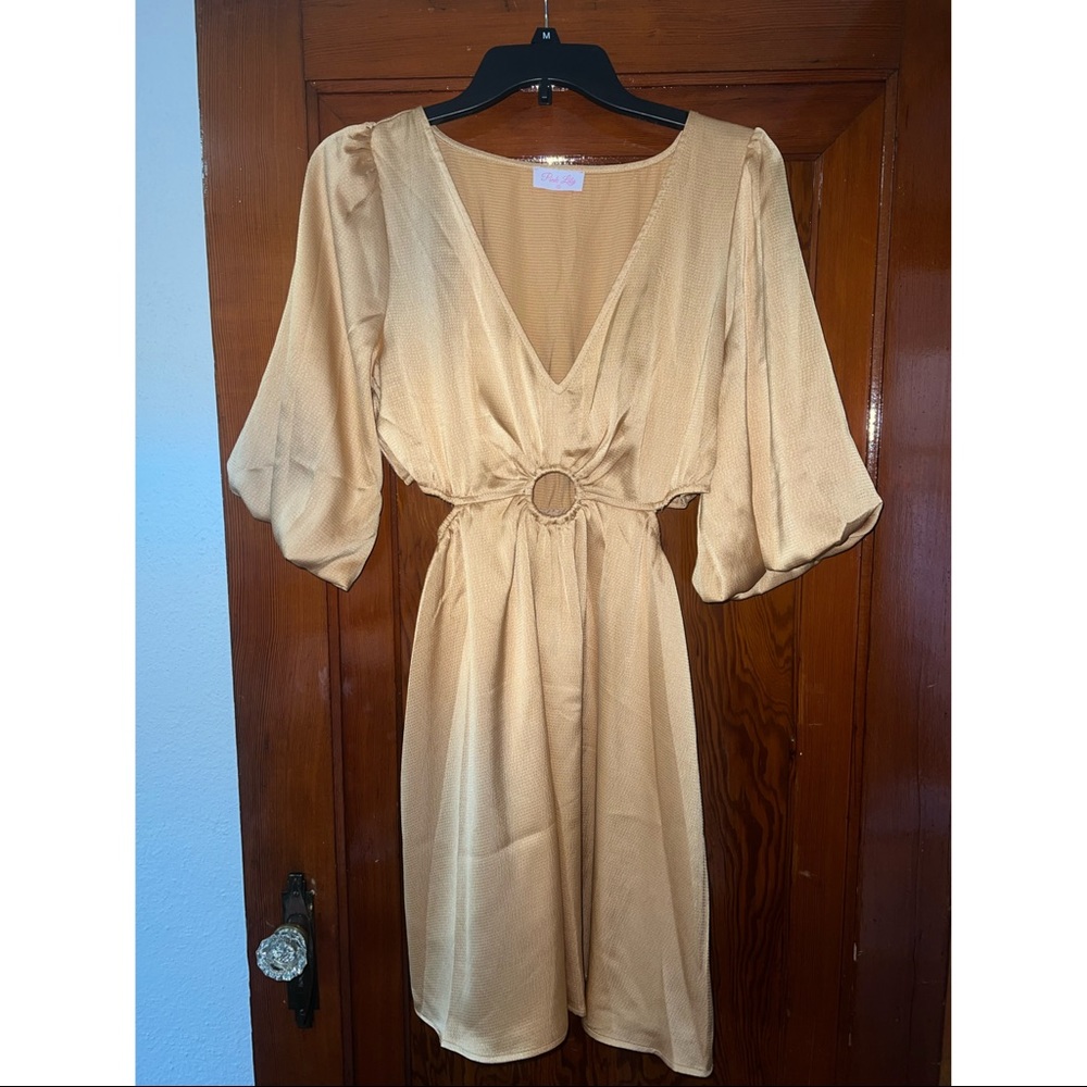 Pink Lily Gold Dress